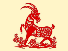 Ảnh bìa bài viết 976548