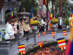 Ảnh bìa bài viết 976846