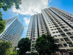 Ảnh bìa bài viết 976854