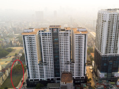 Ảnh bìa bài viết 976763