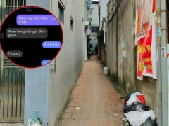 Ảnh bìa bài viết 977221
