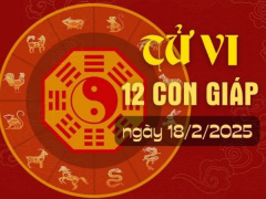 Ảnh bìa bài viết 977229