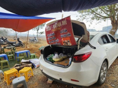 Ảnh bìa bài viết 977104