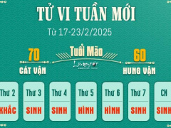 Ảnh bìa bài viết 977159