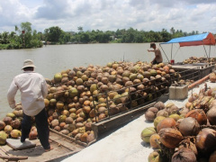 Ảnh bìa bài viết 977410