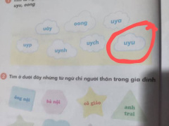 Ảnh bìa bài viết 977393