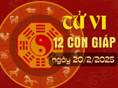 Ảnh bìa bài viết 977502