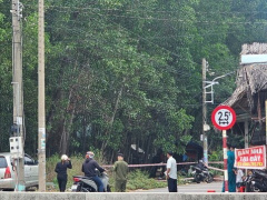 Ảnh bìa bài viết 977806