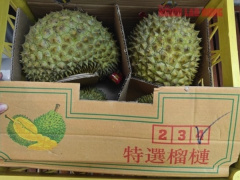 Ảnh bìa bài viết 977835