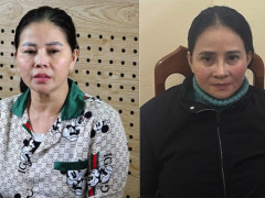 Ảnh bìa bài viết 977858
