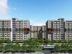 Ảnh bìa bài viết 979032