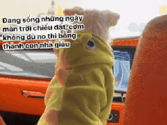 Ảnh bìa bài viết 979692