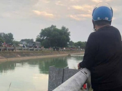 Ảnh bìa bài viết 979631
