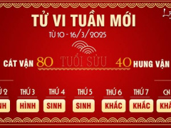 Ảnh bìa bài viết 979643