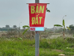 Ảnh bìa bài viết 980196