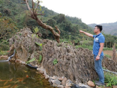 Ảnh bìa bài viết 980392