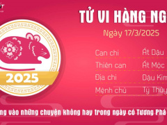 Ảnh bìa bài viết 980431