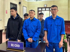 Ảnh bìa bài viết 980664