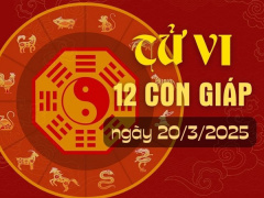 Ảnh bìa bài viết 980805