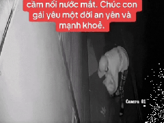 Ảnh bìa bài viết 981182