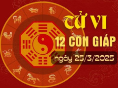 Ảnh bìa bài viết 981372