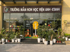 Ảnh bìa bài viết 981352