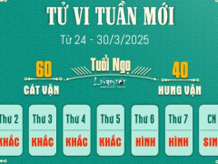Ảnh bìa bài viết 981272