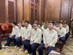 Ảnh bìa bài viết 981485