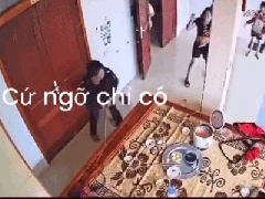Ảnh bìa bài viết 981437