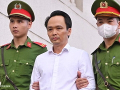 Ảnh bìa bài viết 981480