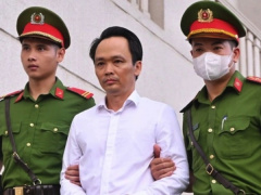 Ảnh bìa bài viết 981430