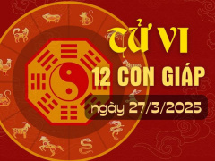 Ảnh bìa bài viết 981641