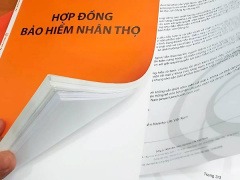 Ảnh bìa bài viết 981665