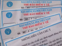 Ảnh bìa bài viết 981769