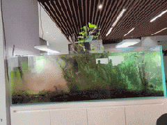 Ảnh bìa bài viết 981845