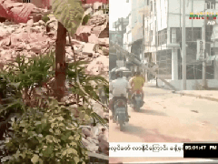 Ảnh bìa bài viết 981911