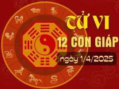 Ảnh bìa bài viết 982213