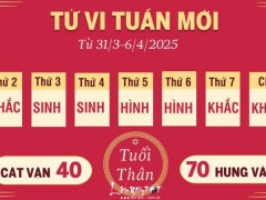 Ảnh bìa bài viết 982135
