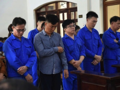 Ảnh bìa bài viết 982233