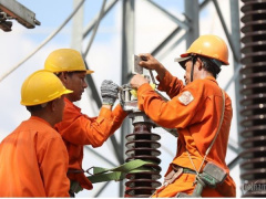 Ảnh bìa bài viết 982337