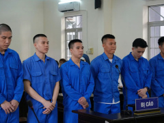 Ảnh bìa bài viết 982704