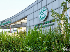 Ảnh bìa bài viết 982739