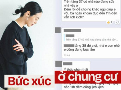 Ảnh bìa bài viết 982912