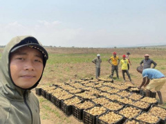 Ảnh bìa bài viết 982894