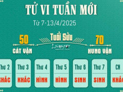 Ảnh bìa bài viết 982994