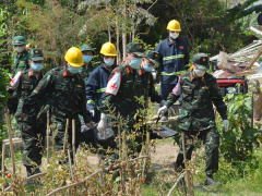Ảnh bìa bài viết 983117