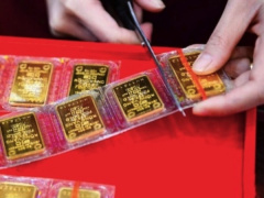 Ảnh bìa bài viết 983310