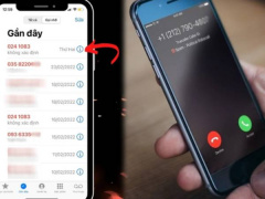 Ảnh bìa bài viết 983341