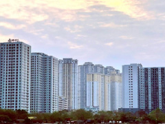 Ảnh bìa bài viết 983576