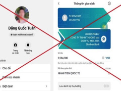 Ảnh bìa bài viết 983534